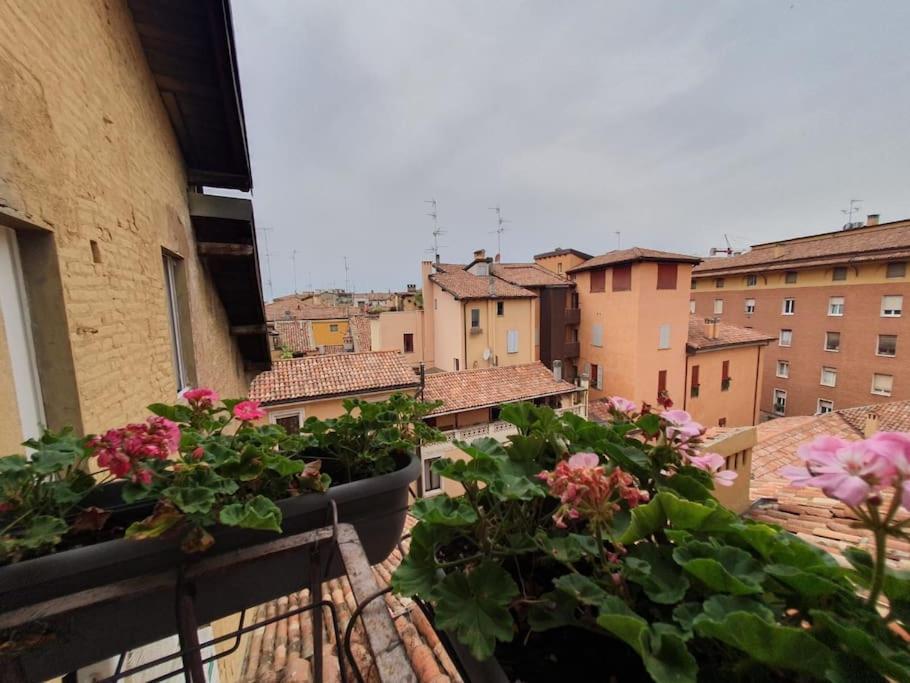 Apartment Panoramic Attic In The Historic Center *