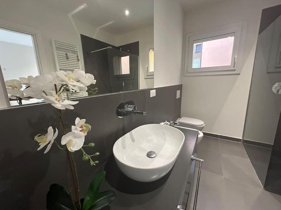 Apartment Ariosti 3 - Piazza Maggiore