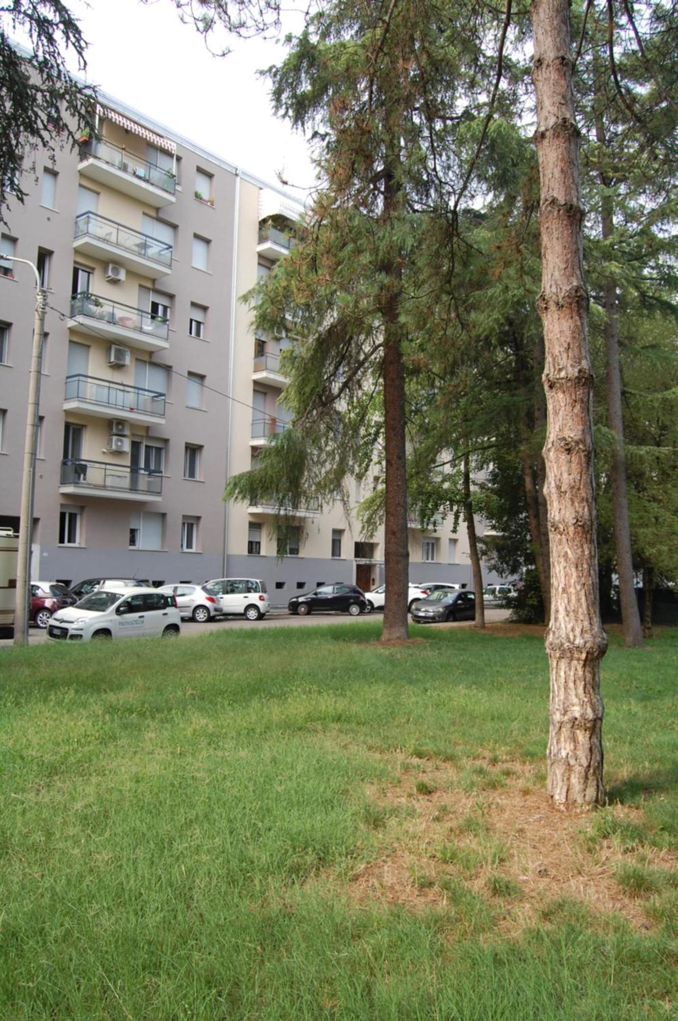 Apartment Orchidea Di Tatiana
