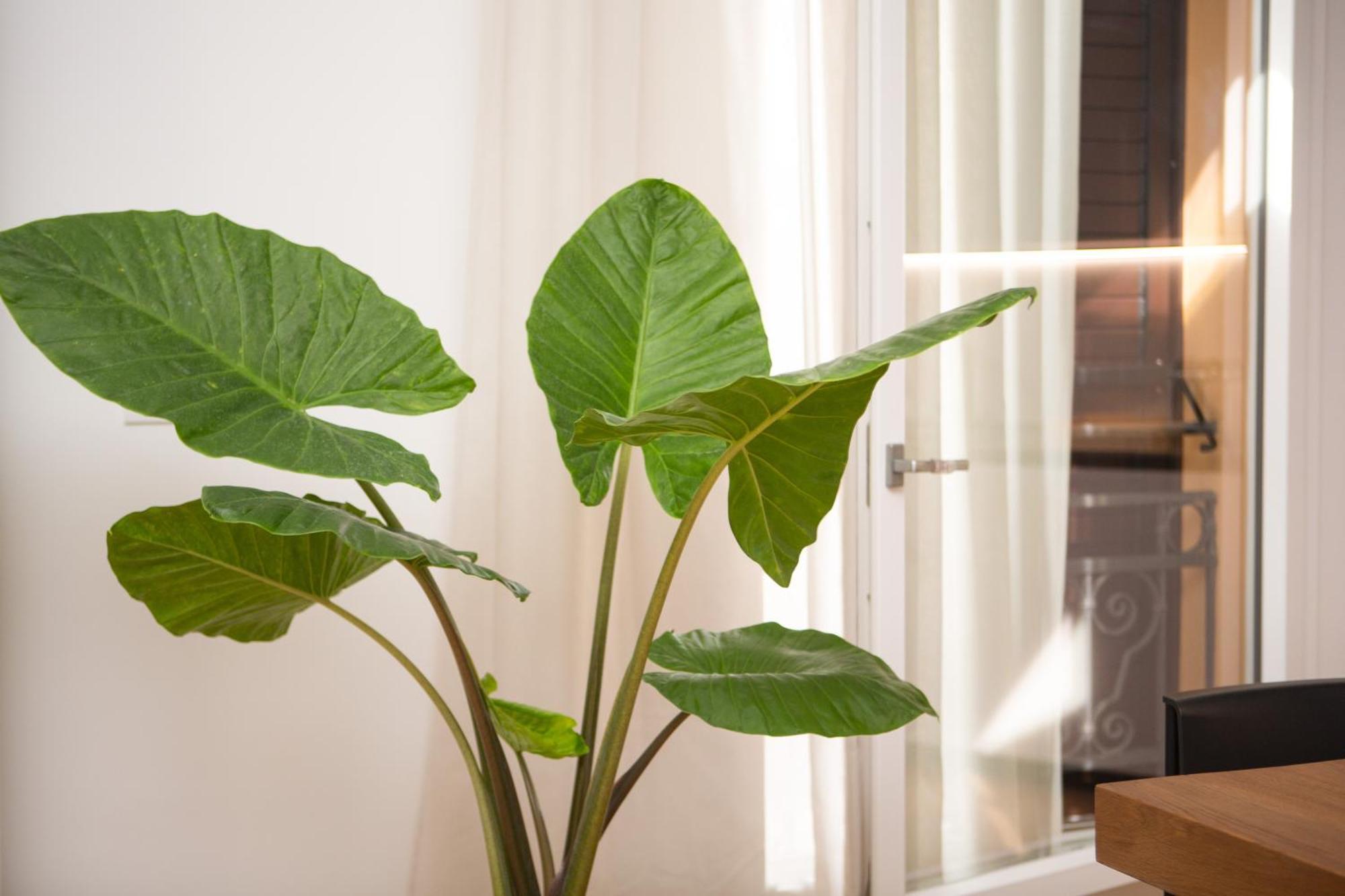 Enjoy - Luxury Experience In The Heart Of Apartment *