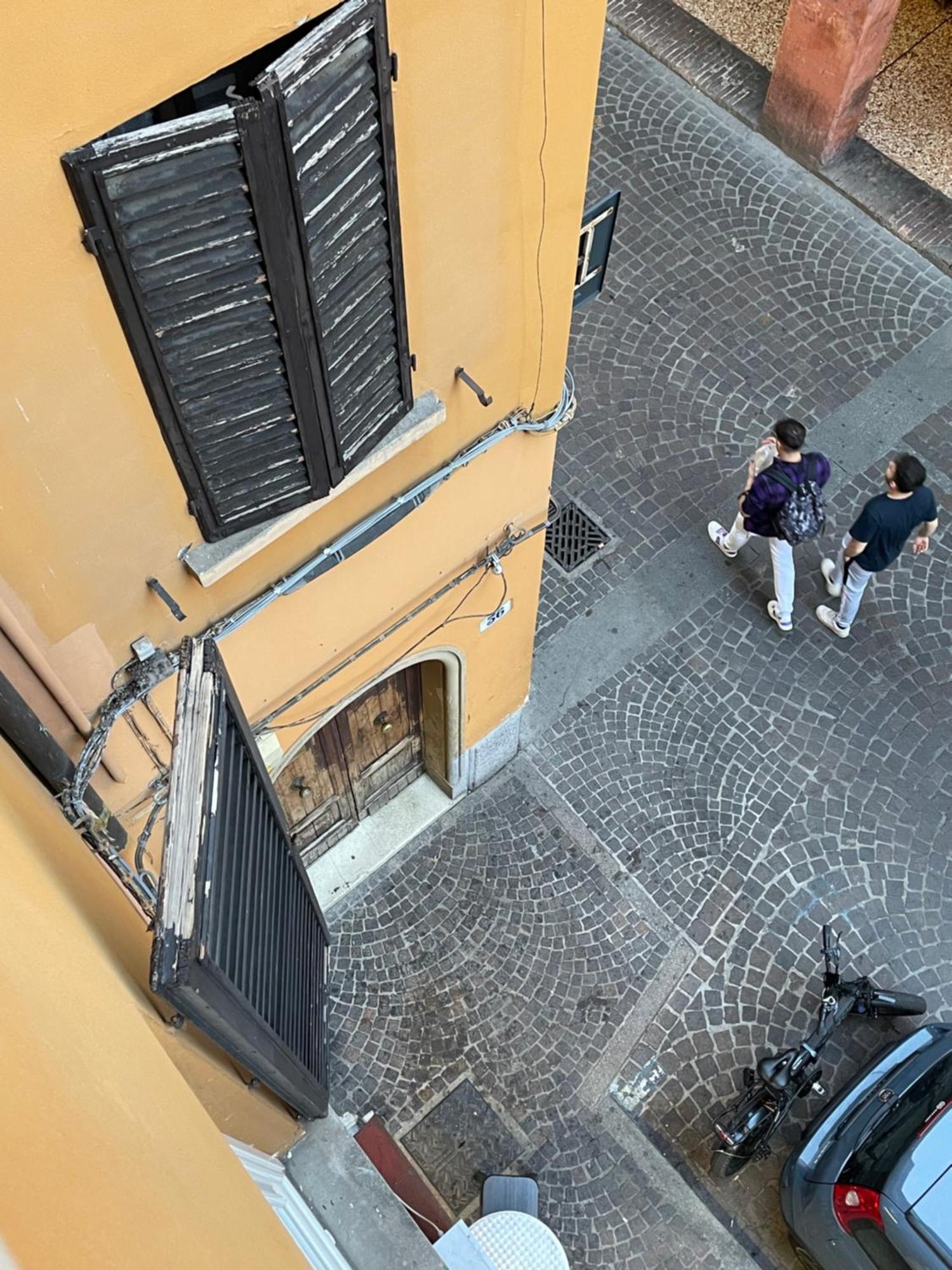 Elle * Bologna