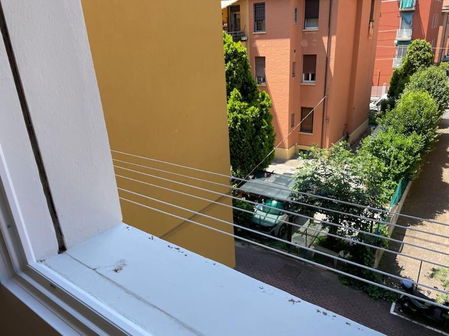 2 Separate Business Apartment *
