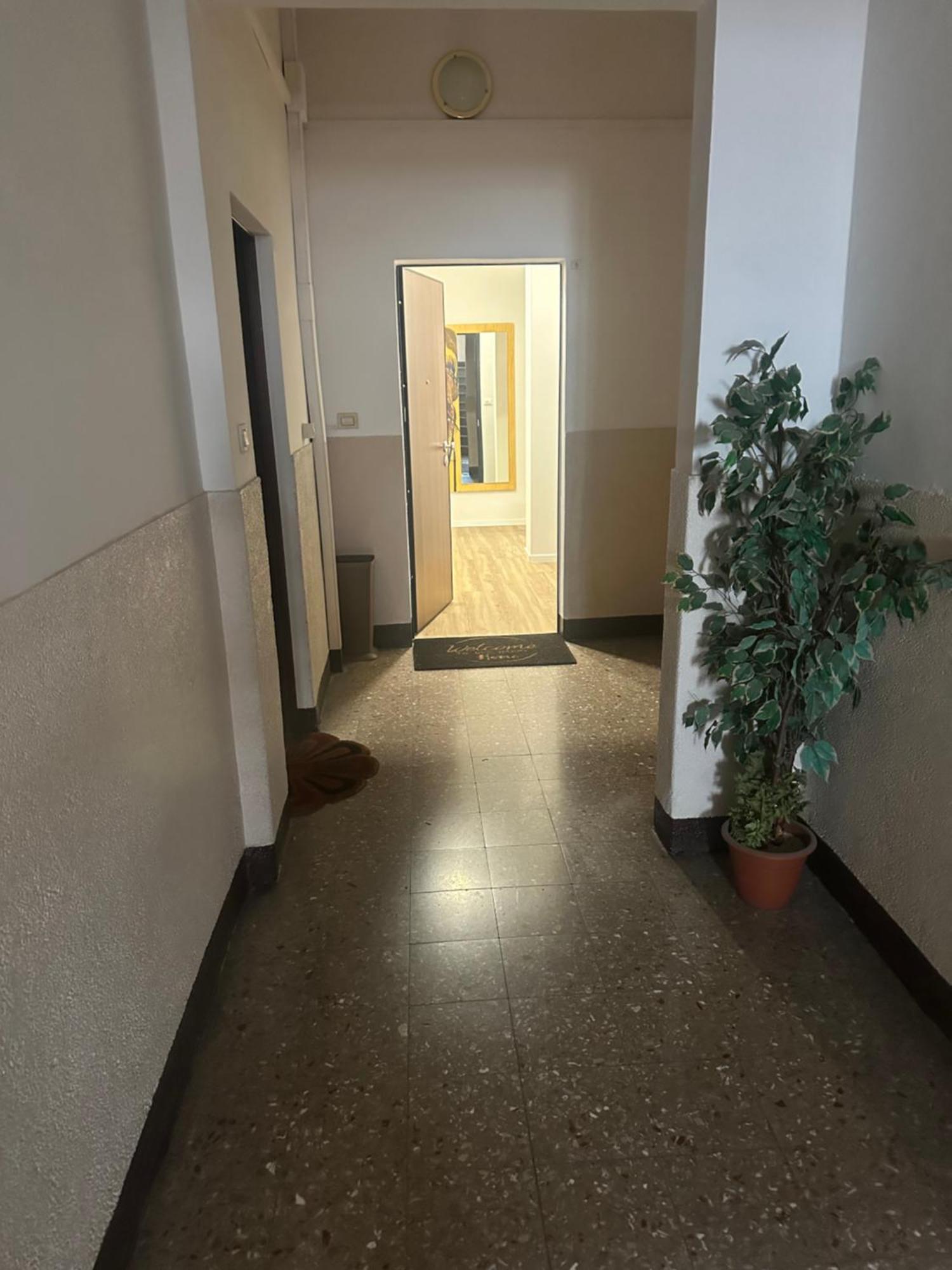 Concerti, Stadio E Aeroporto