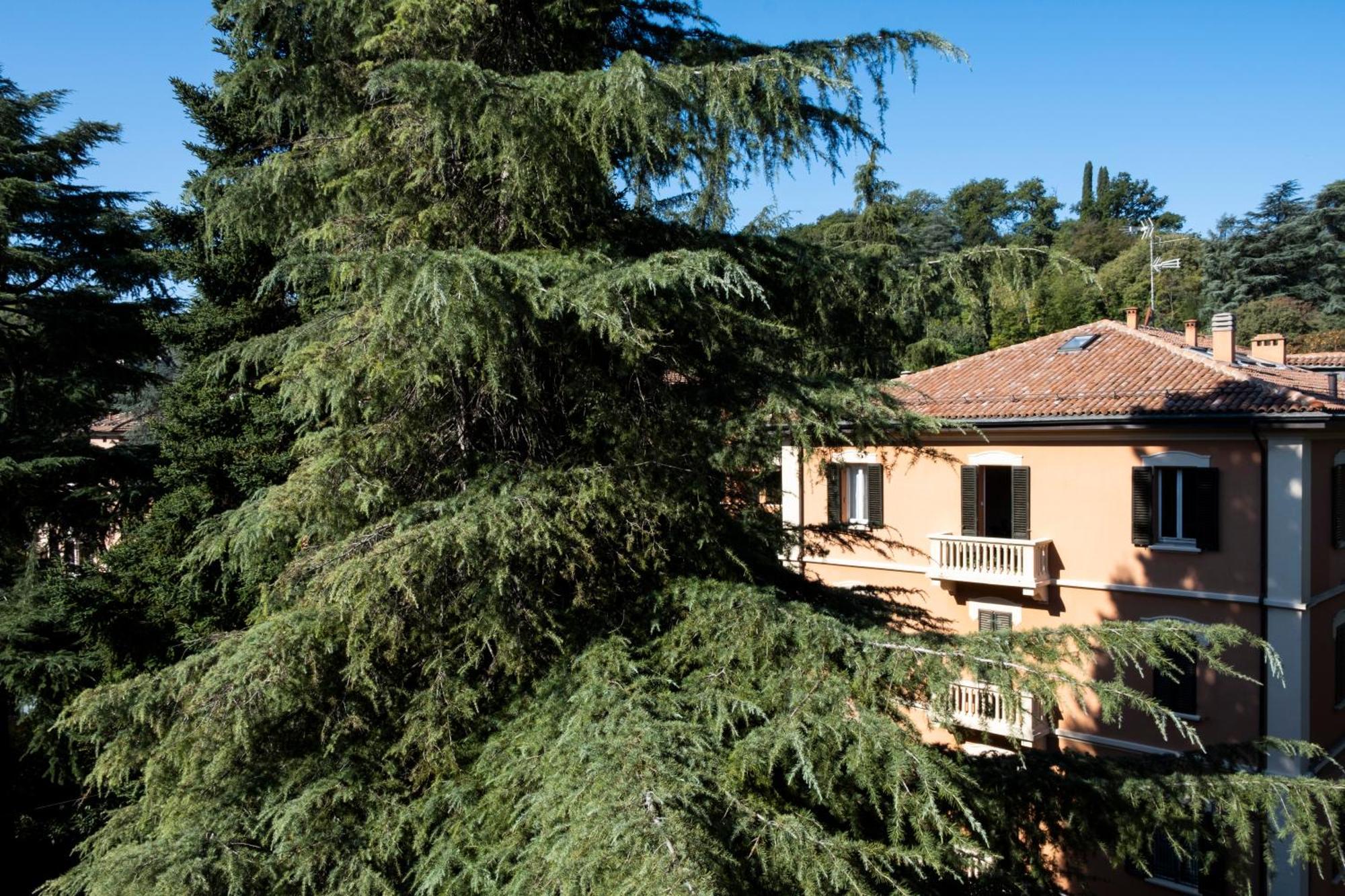 Casa Dimondi