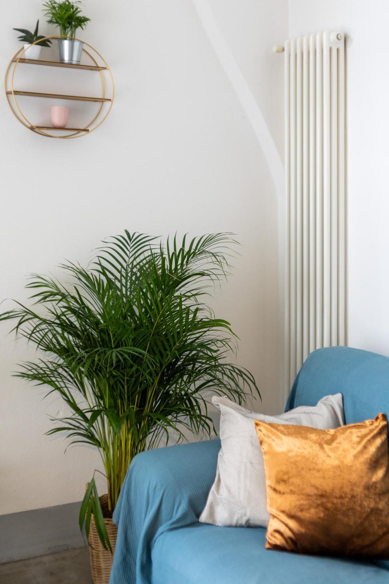 Casa Quadri Nel Cuore Di Apartment
