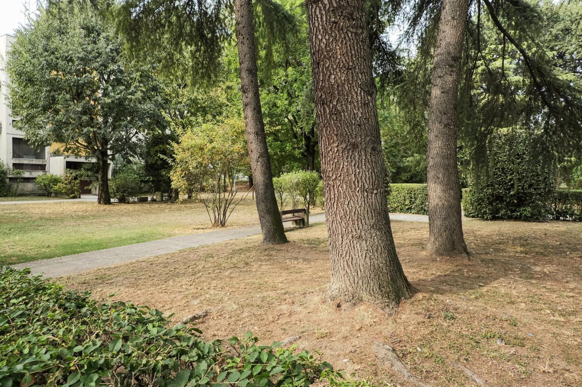 Apartment Ca'molino Ampio Con Giardino Privato Vicino Al Centro Storico Fiera Ospedale Stazione Aeroporto Centergross