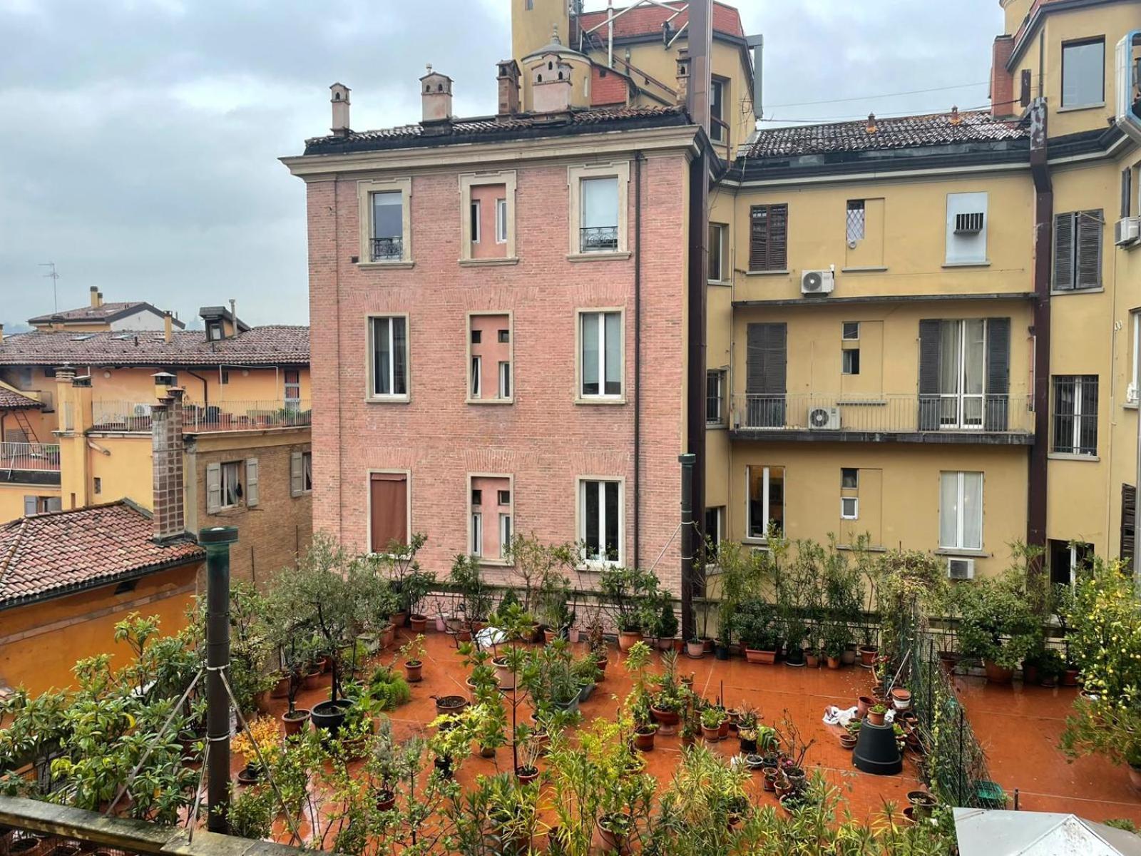 Le Dell'edera