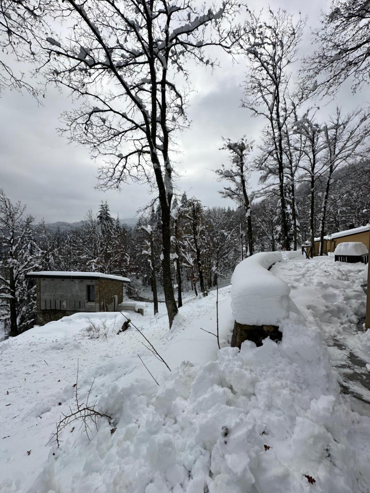 Holiday home Casa Rioletta Bologna