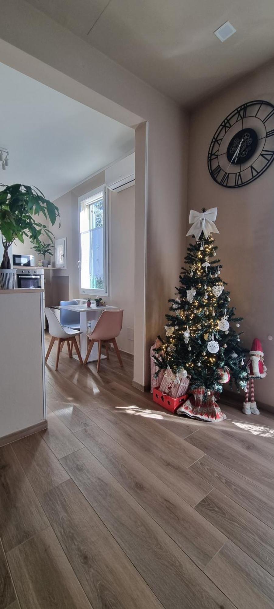 Apartment Alemanni54 -