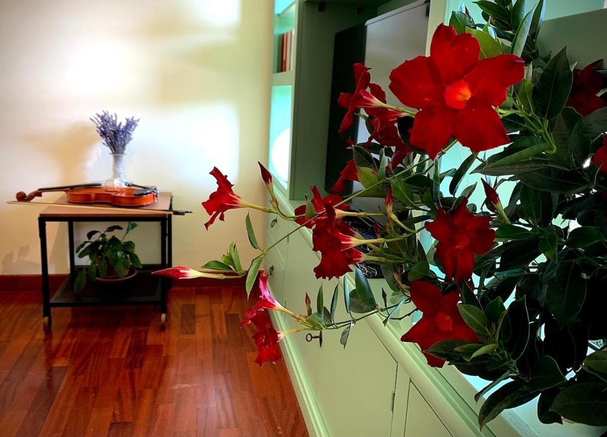 Apartment Casa Di Giulia Bologna