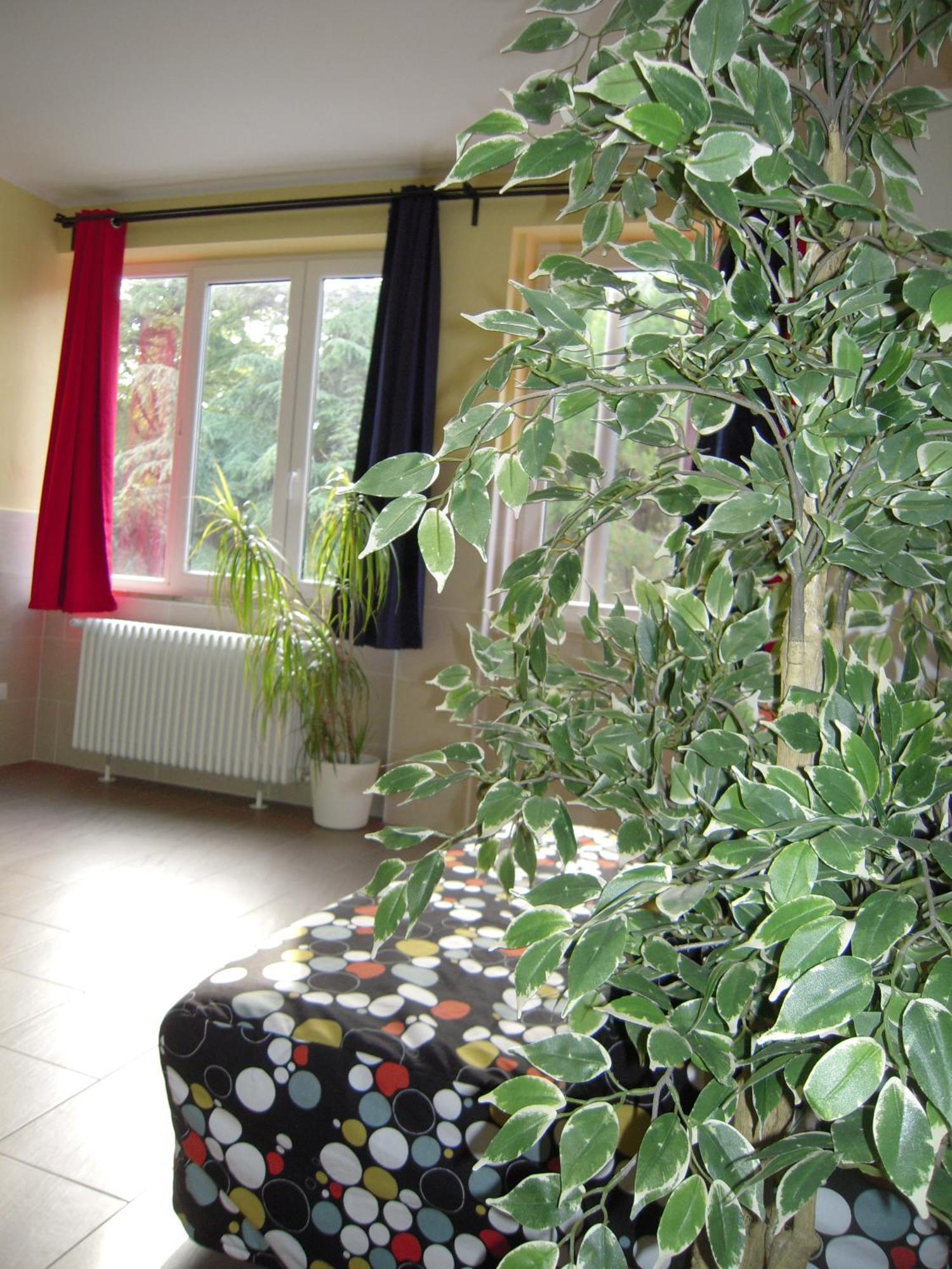 Apartamento Stoppato *
