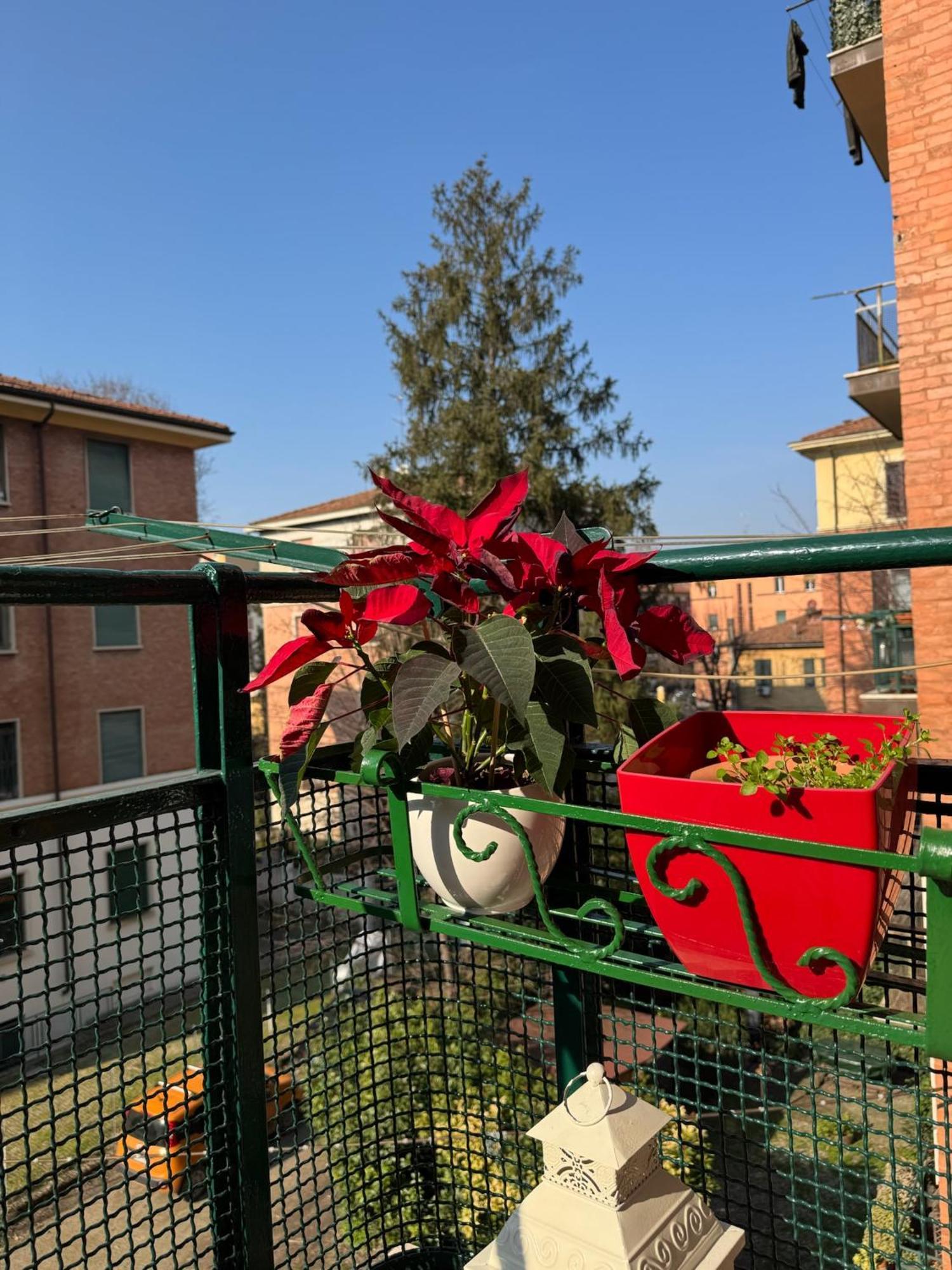Fiera - Train Station - Free Parking Bologna