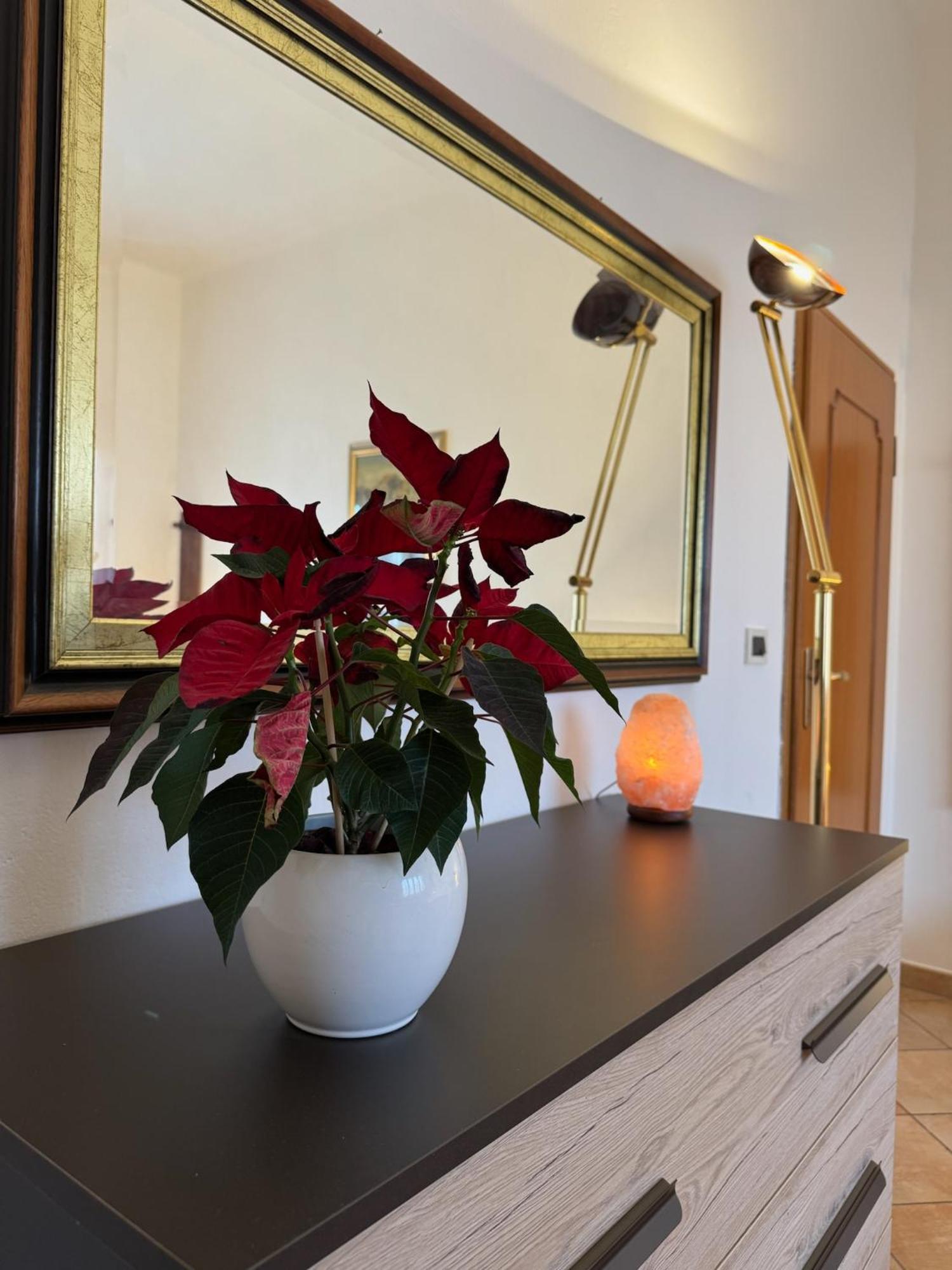 Fiera - Train Station - Free Parking Apartment