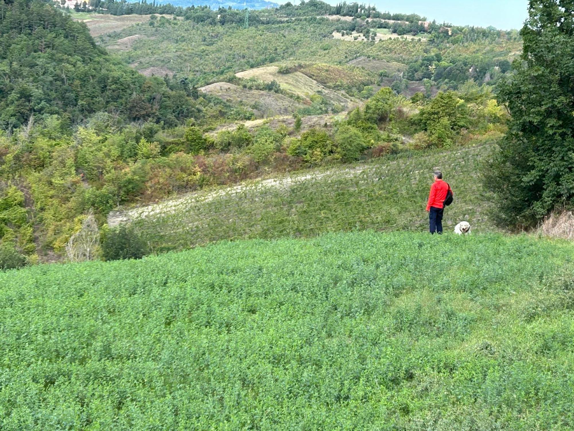 Casa Sunset Hill * Bologna