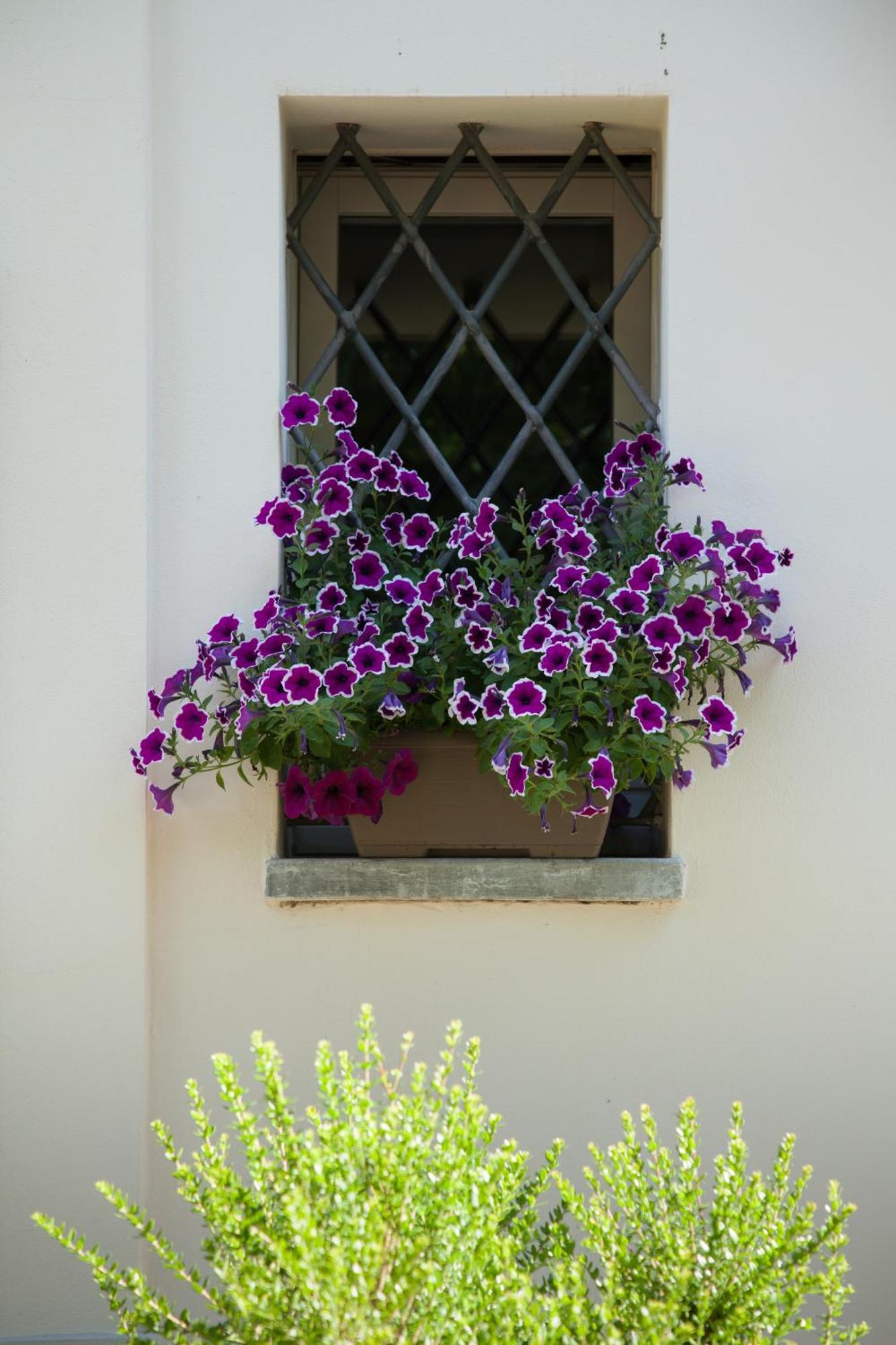 Casa Sunset Hill Ferienhaus