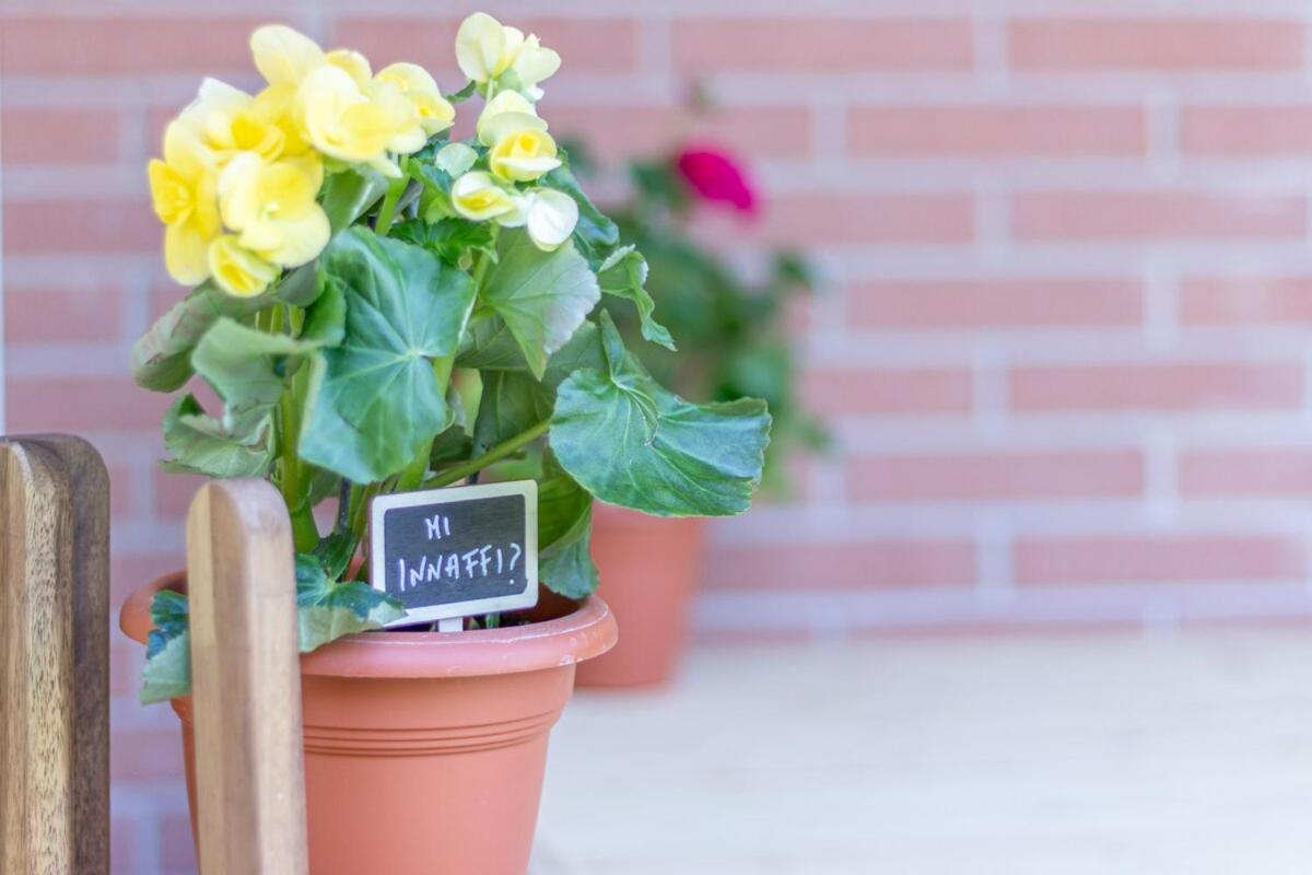 Style Shelter With Garden Near Downtown Apartment Bologna