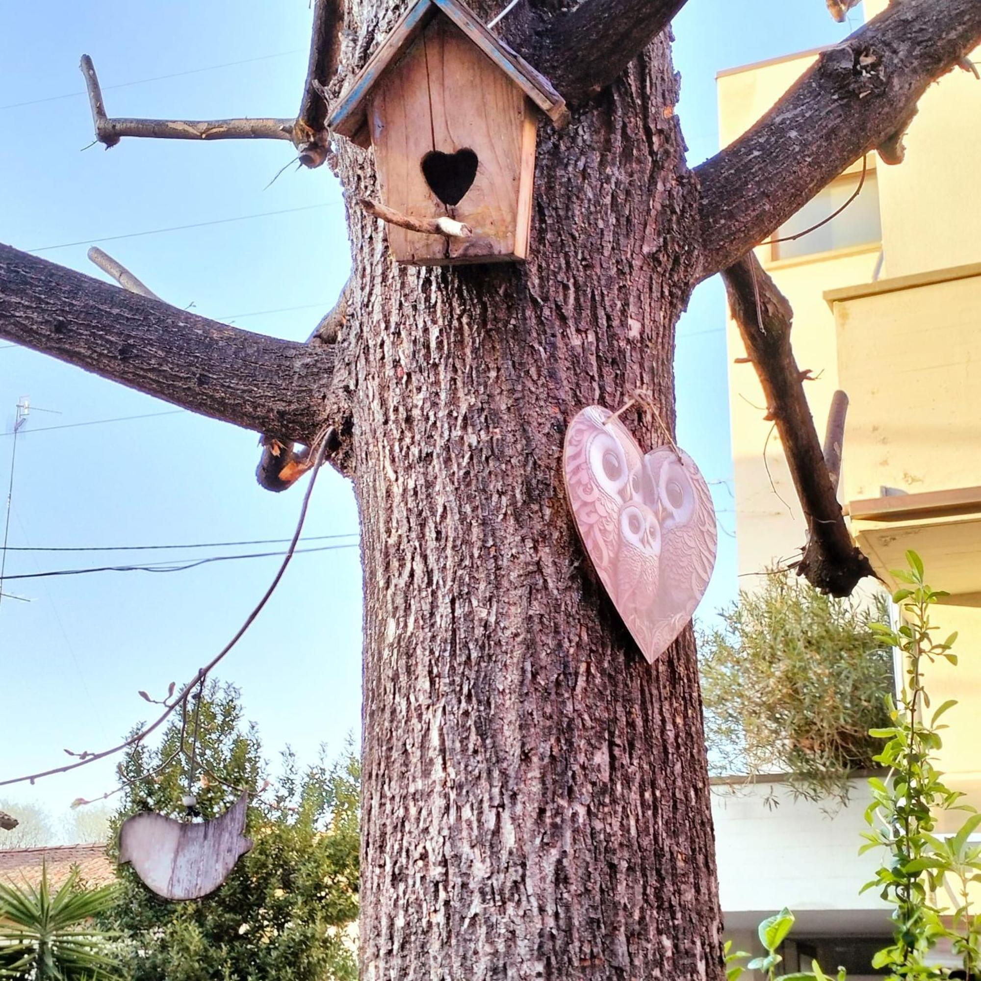 - Bhh Signorini * Bologna