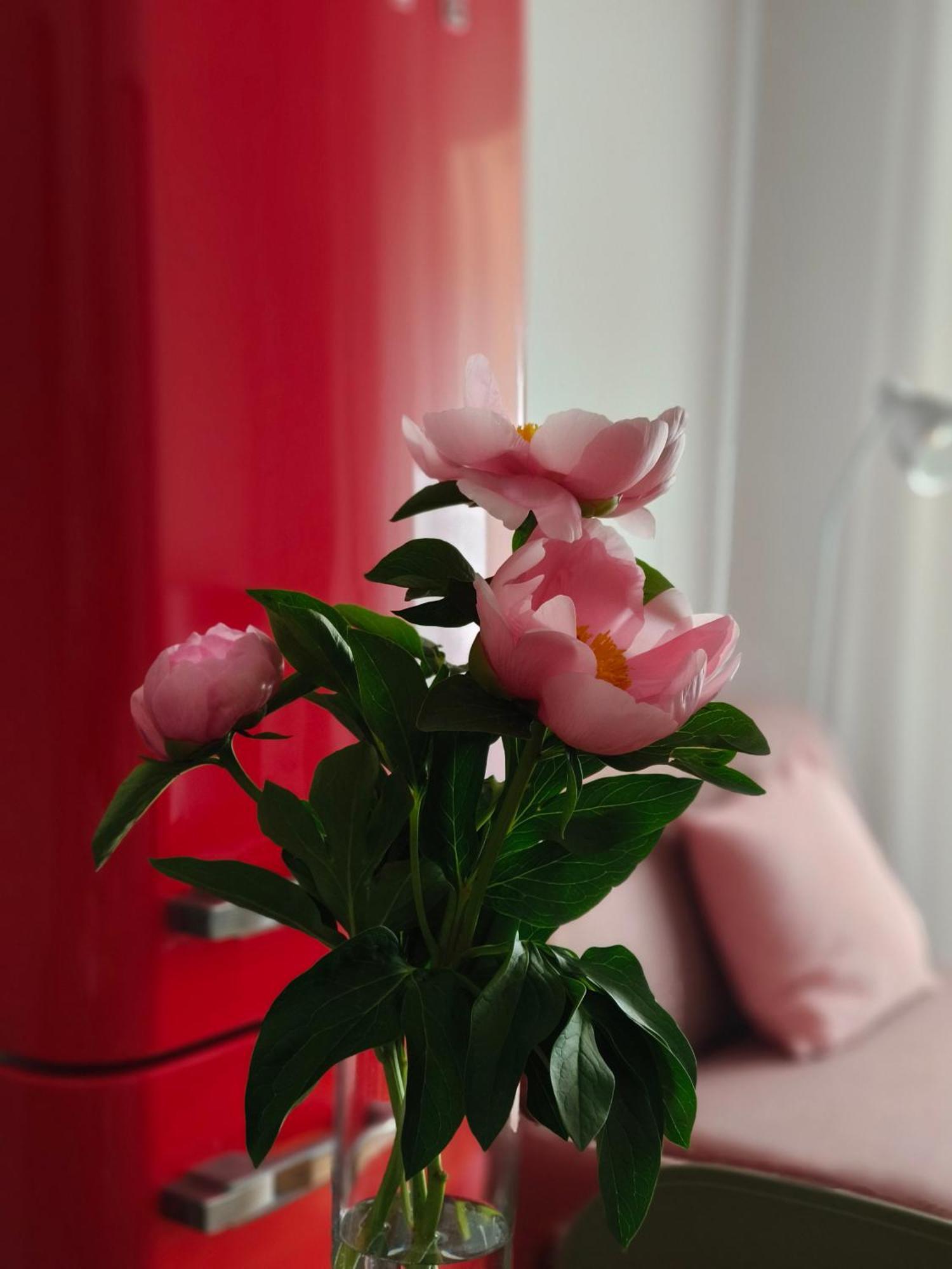 Fluere - Via Riva Reno Apartment
