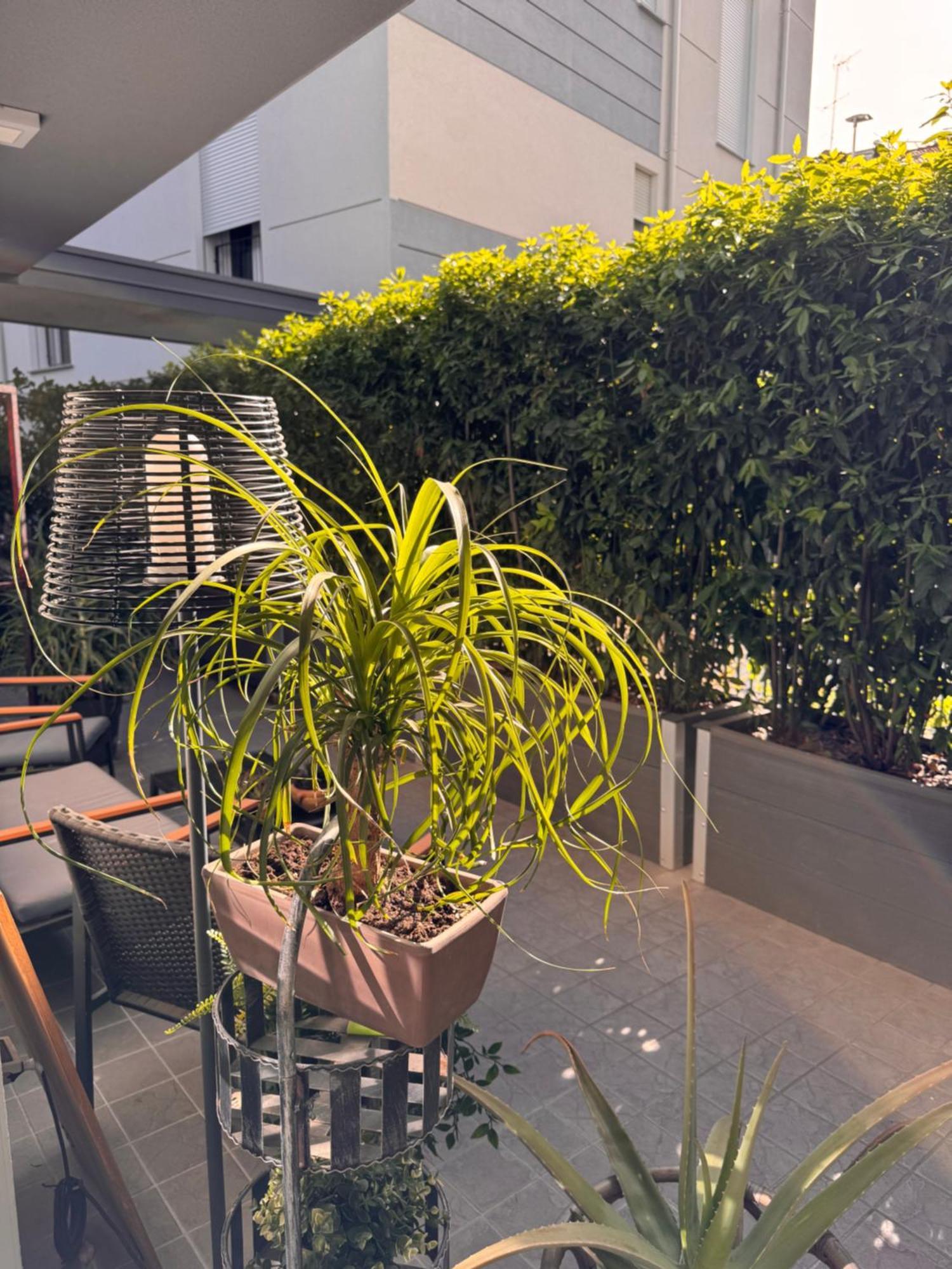 Homestay Privata Con Terrazza
