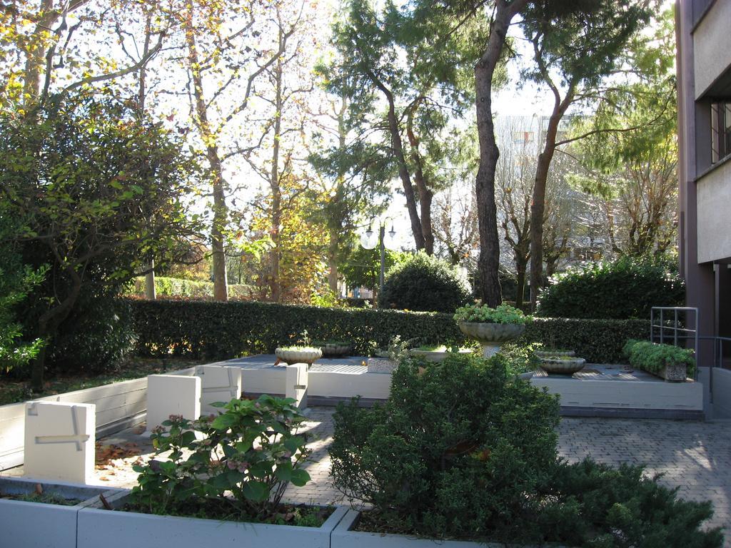 Serena Homestay