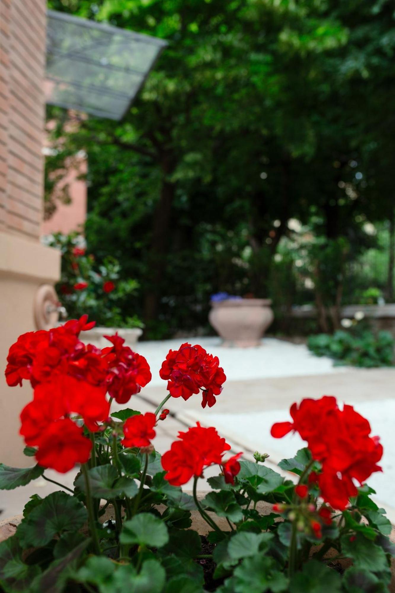 La Casa Dei Nonni Bologna