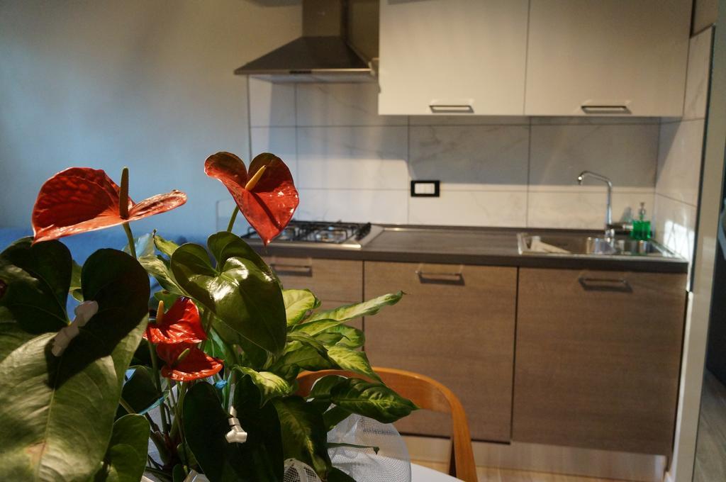 San Donato 40 Apartment Bologna