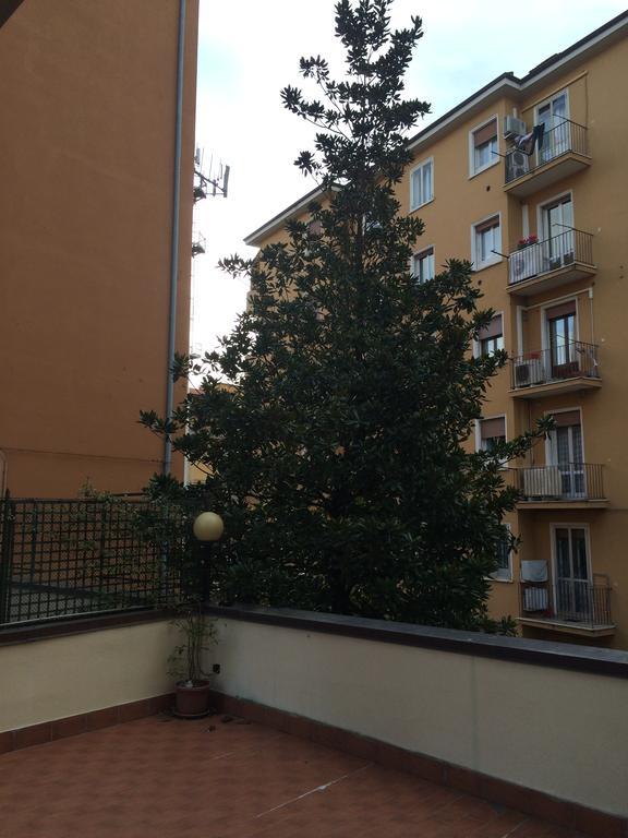 Tl Murri Bologna