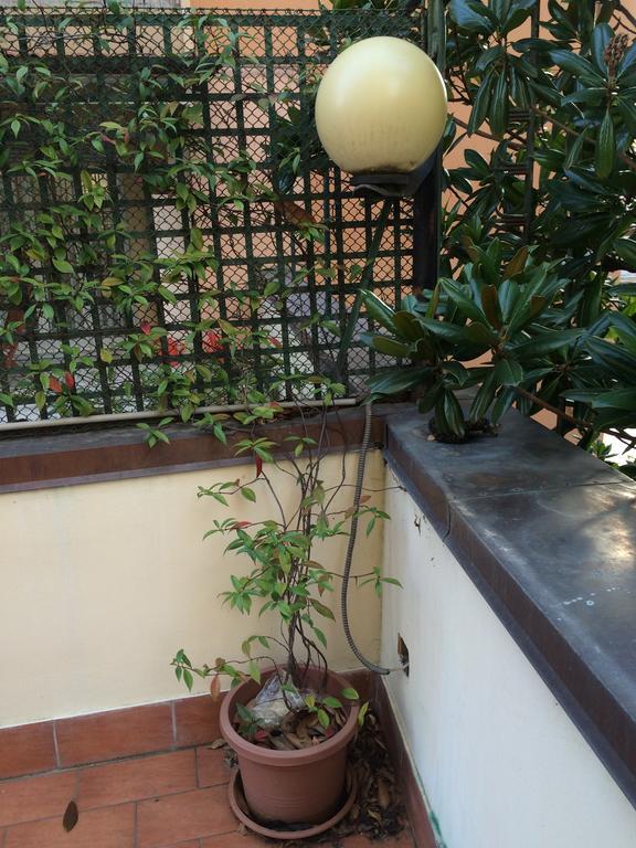 Tl Murri Apartment *