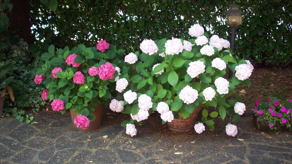 Bed & Breakfast Sant' Eurosia Bed & Breakfast *