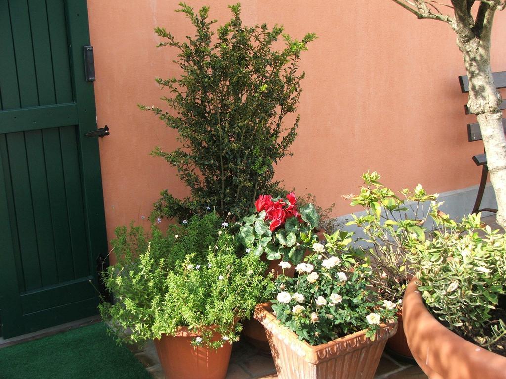 Belfiore Bologna