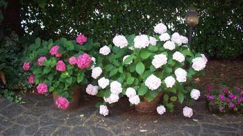Bed & Breakfast Bed & Breakfast Sant' Eurosia