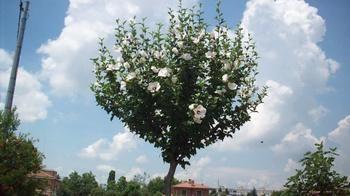 Bed & Breakfast Bed & Breakfast Sant' Eurosia Bologna