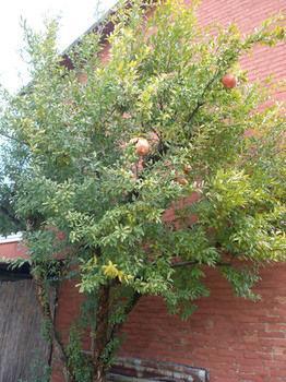 Bed & Breakfast Sant' Eurosia Bologna