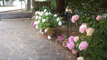 Bed & Breakfast Sant' Eurosia