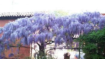 Bed & Breakfast Bed & Breakfast Sant' Eurosia *