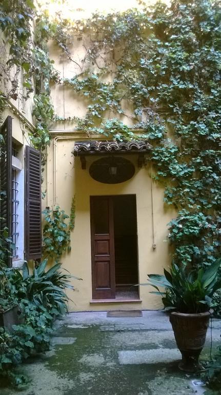 The Frog's Hideaway *