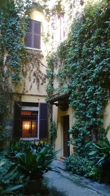 The Frog's Hideaway