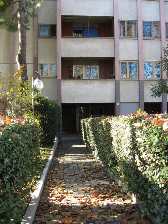 Serena Homestay *