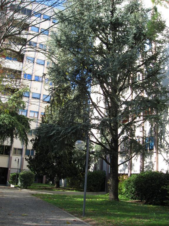 Serena Homestay Bologna