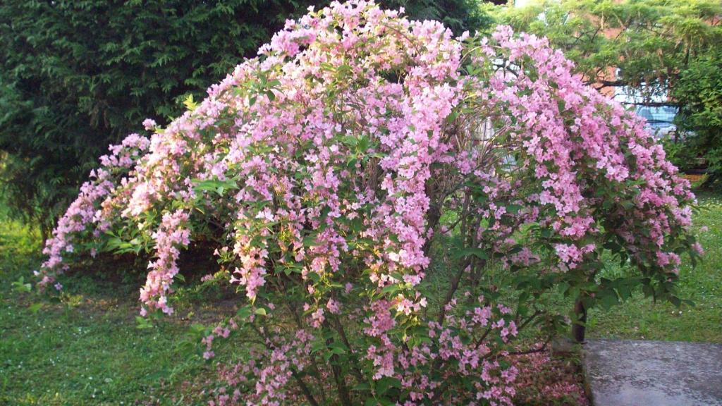 Bed & Breakfast Bed & Breakfast Sant' Eurosia