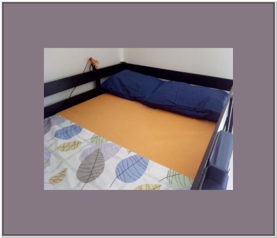 Bed & Breakfast‎ Asinelli
