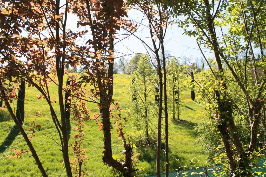 Apartment Boscobo - Relax & Natura *