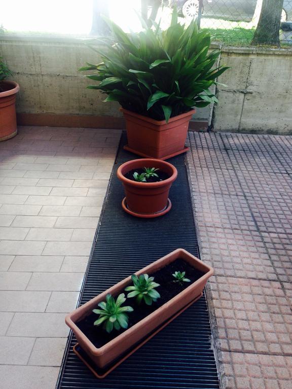 Gilda House * Bologna