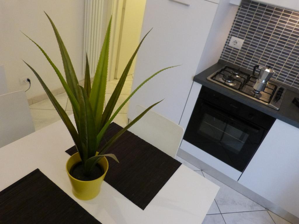 Piazza Malpighi Apartment