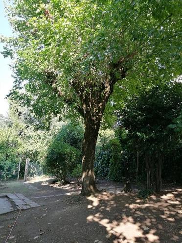 Appartement Farolfi Vallescura Bologna