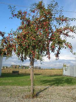 Bed & Breakfast Sant' Eurosia