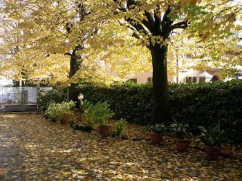 Bed & Breakfast Sant' Eurosia * Bologna