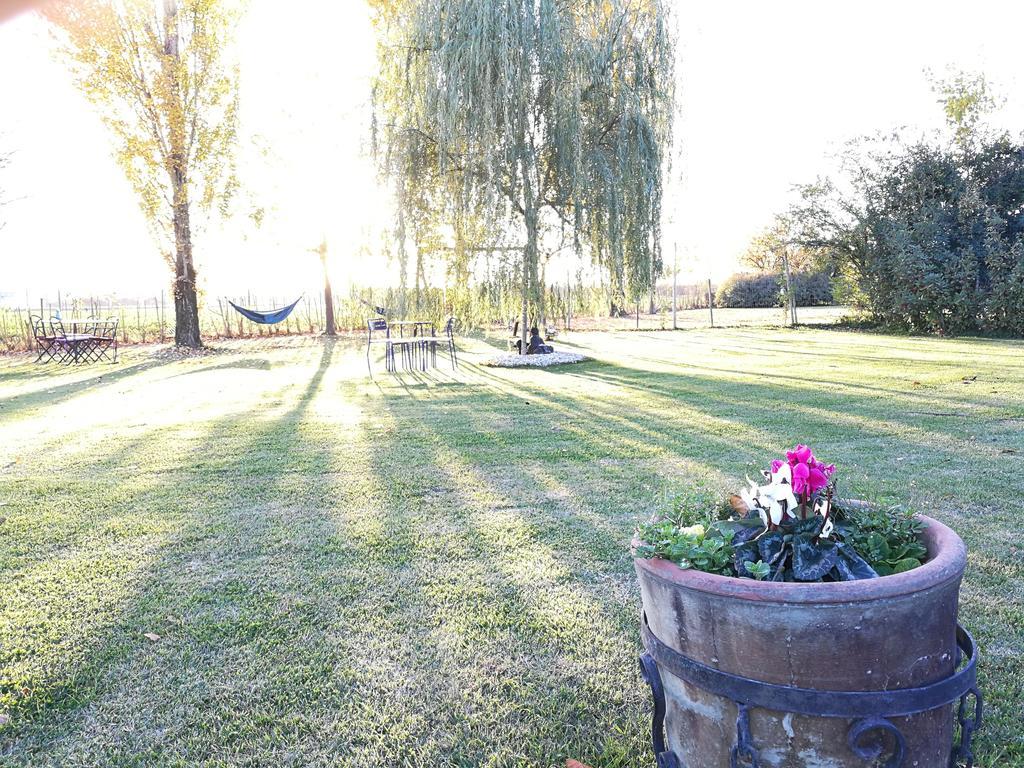 Via Punta 8 Bed & Breakfast Bologna