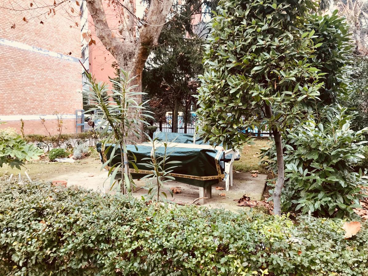 Tl Arance E Rose * Bologna