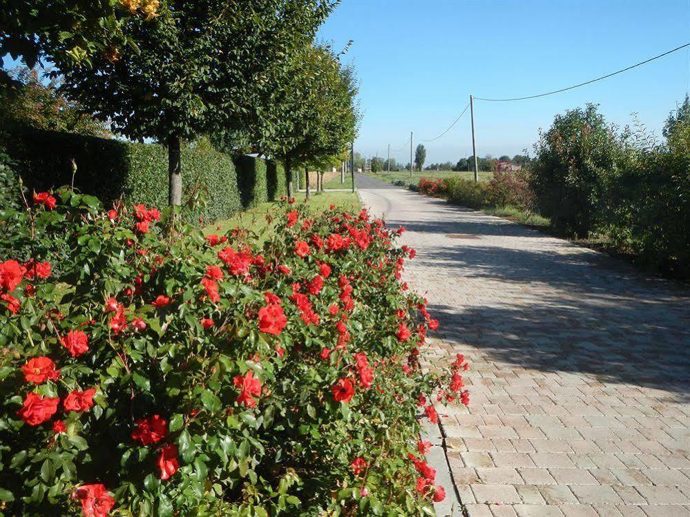 Via Punta 8